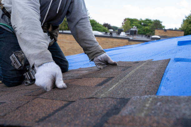 Best Chimney Flashing Repair  in Kingston, PA